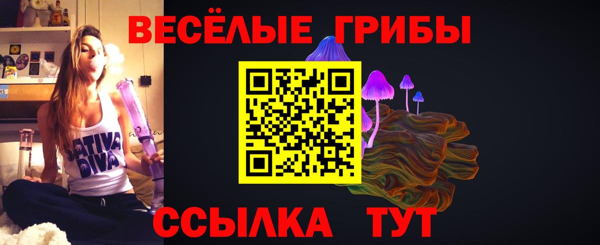 Галлюциногенные грибы Psilocybine cubensis Улан-Удэ
